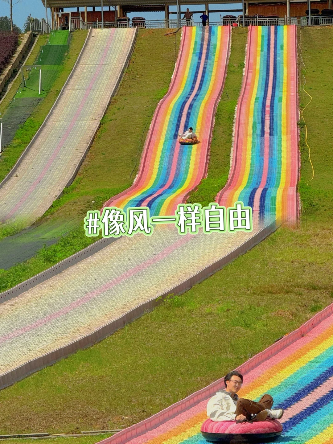 樱花海💢美到窒息，不用去武汉人挤人啰‼️