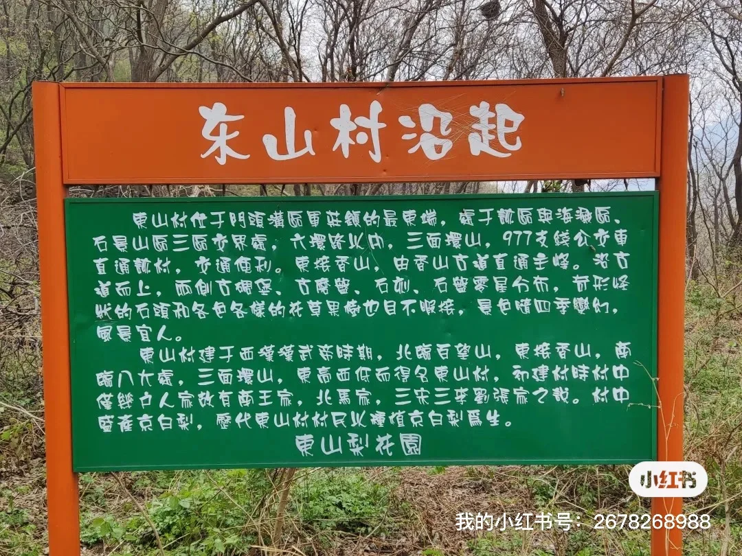 北京绝美徒步路线（69）大清贡梨园赏梨花