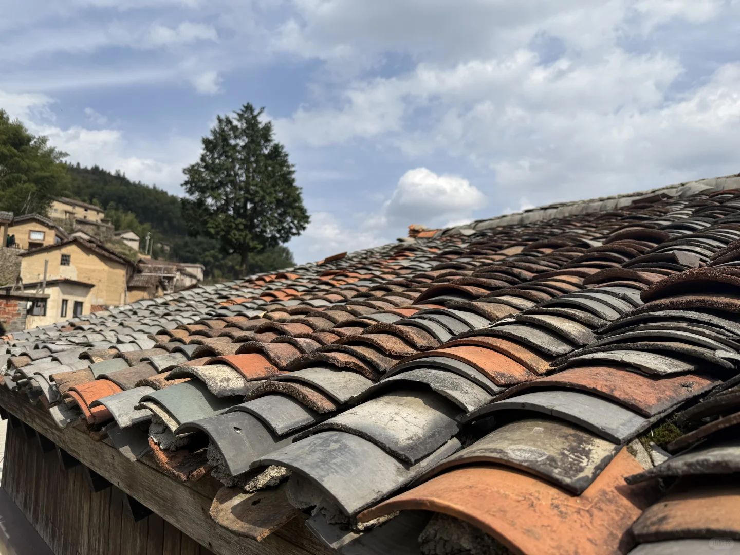 一步一景，人在画中游～