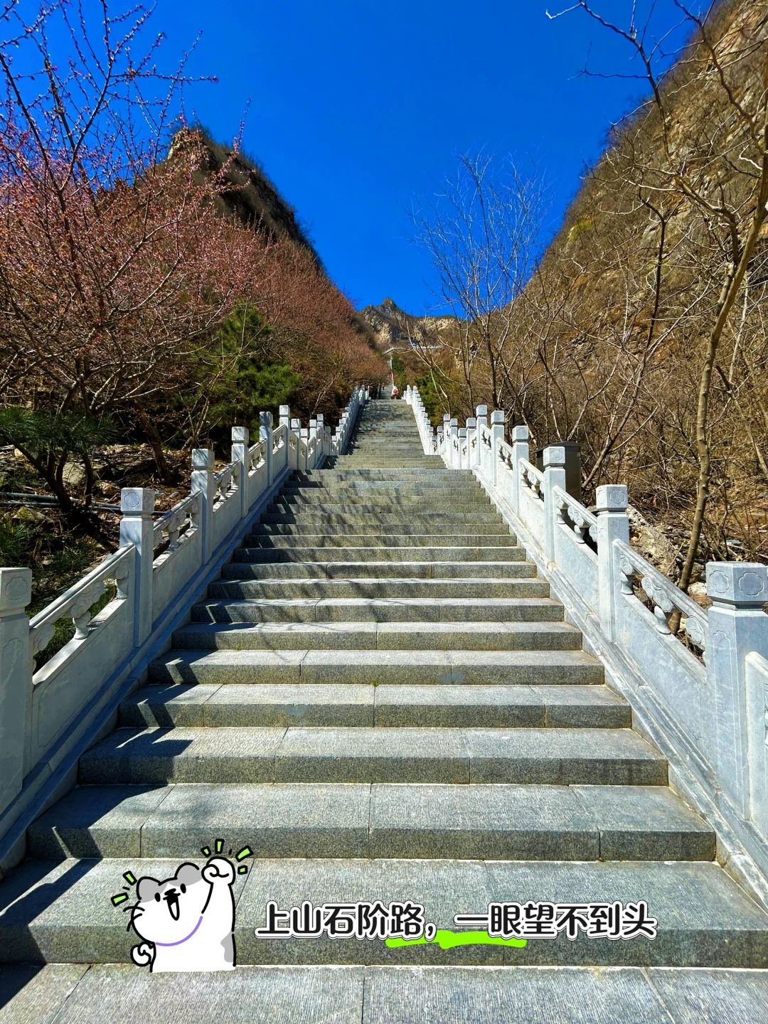 北京清明节春游好去处，绝美踏青徒步路线🌿