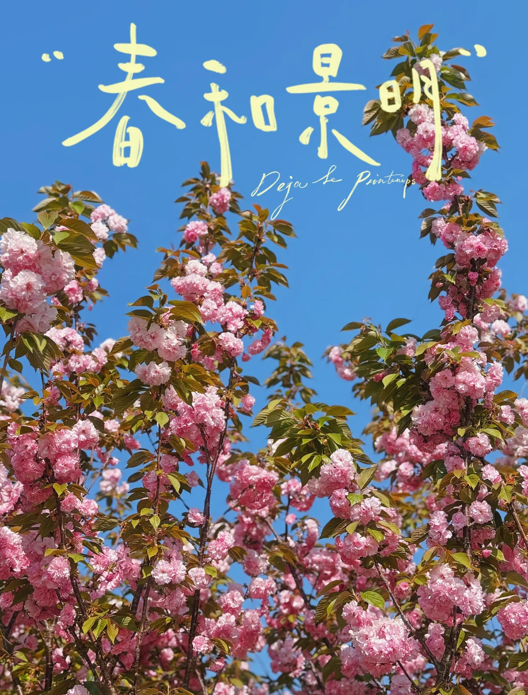 古色古香的地方📷真的很美