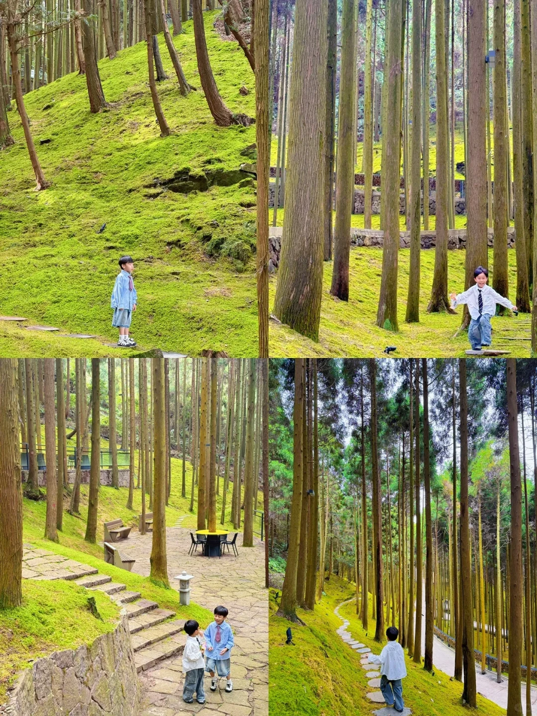 整理好了❗️温州清明宝藏户外遛娃地合集推荐