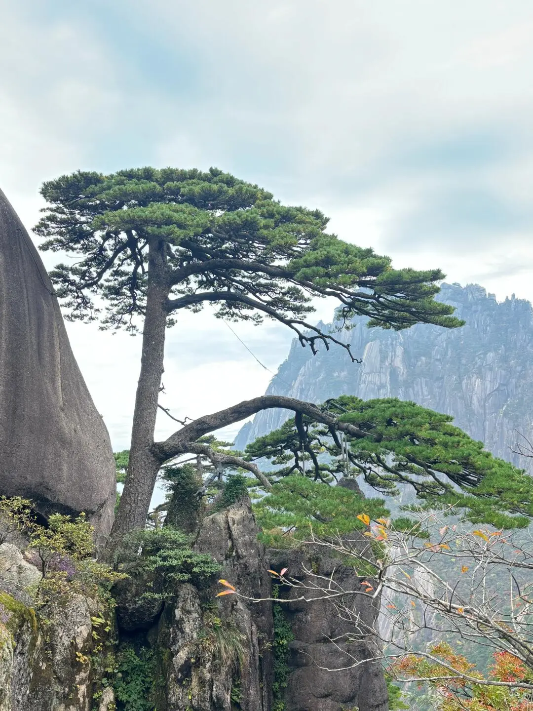 后悔没早点来黄山，小红书跟风最成功的一次