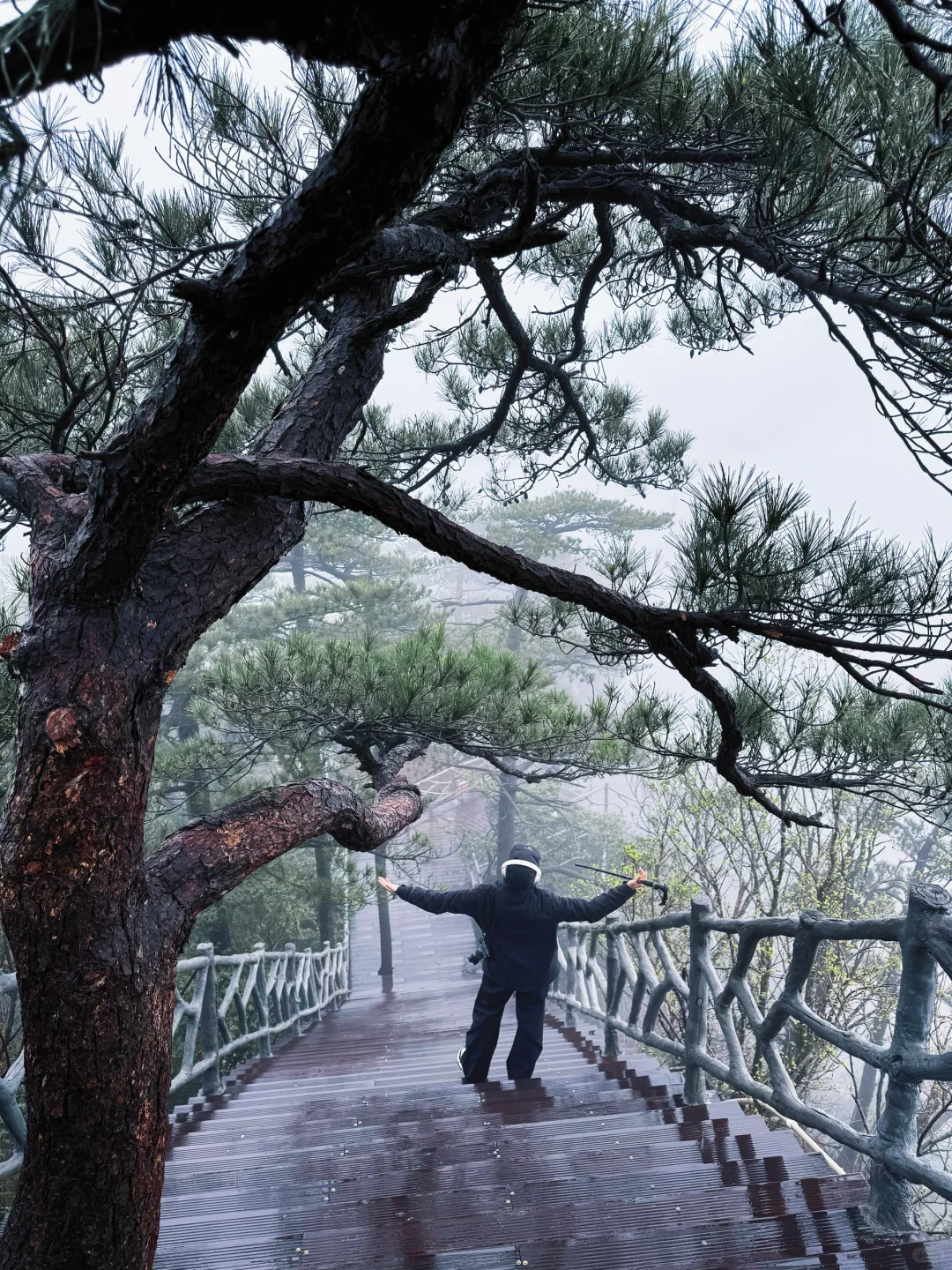 江西出现了新型爬山方式！悬崖动车他来了……