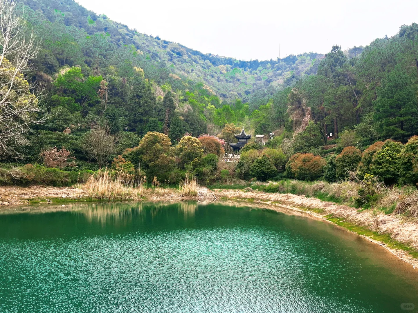 旺山徒步线路推荐