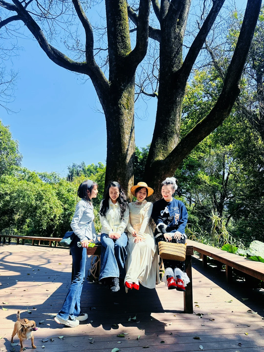 乐山」老城区被低估的公园，美到next level了