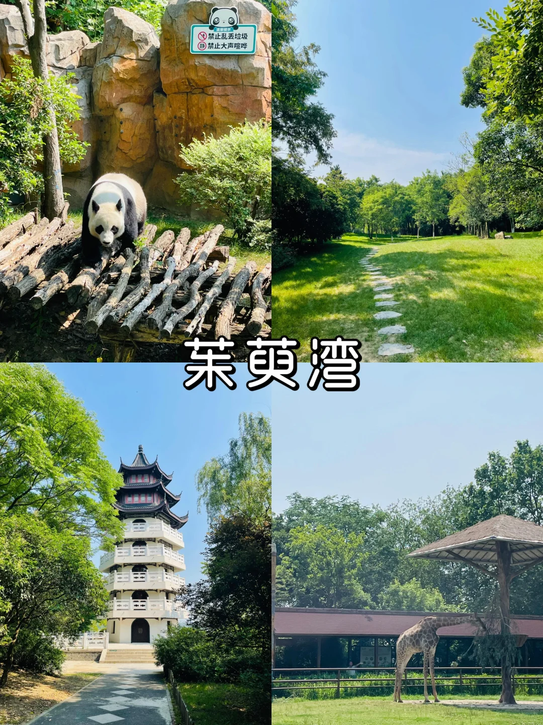 烟花三月下扬州|9大打卡景点，超全攻略🌸