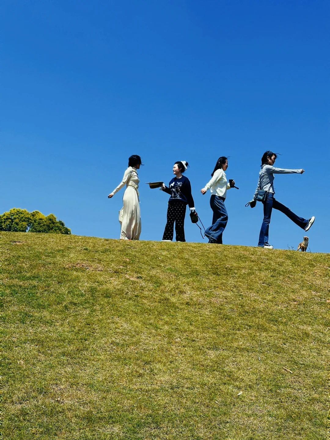 乐山」老城区被低估的公园，美到next level了