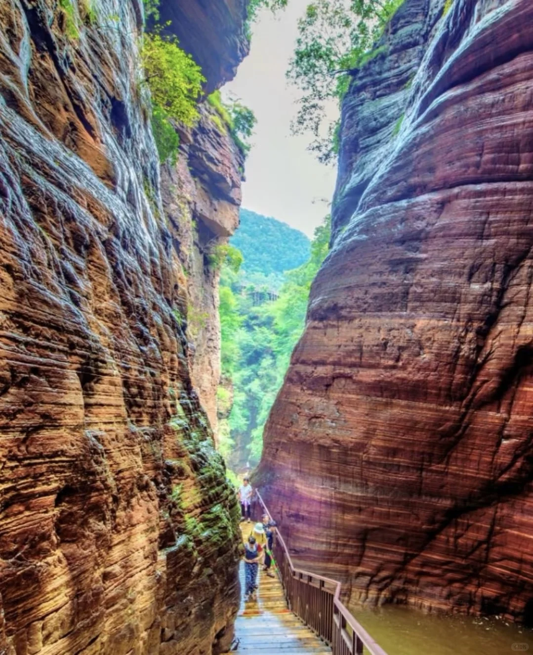 清明拒绝人挤人【河南小众】春日秘境🌸