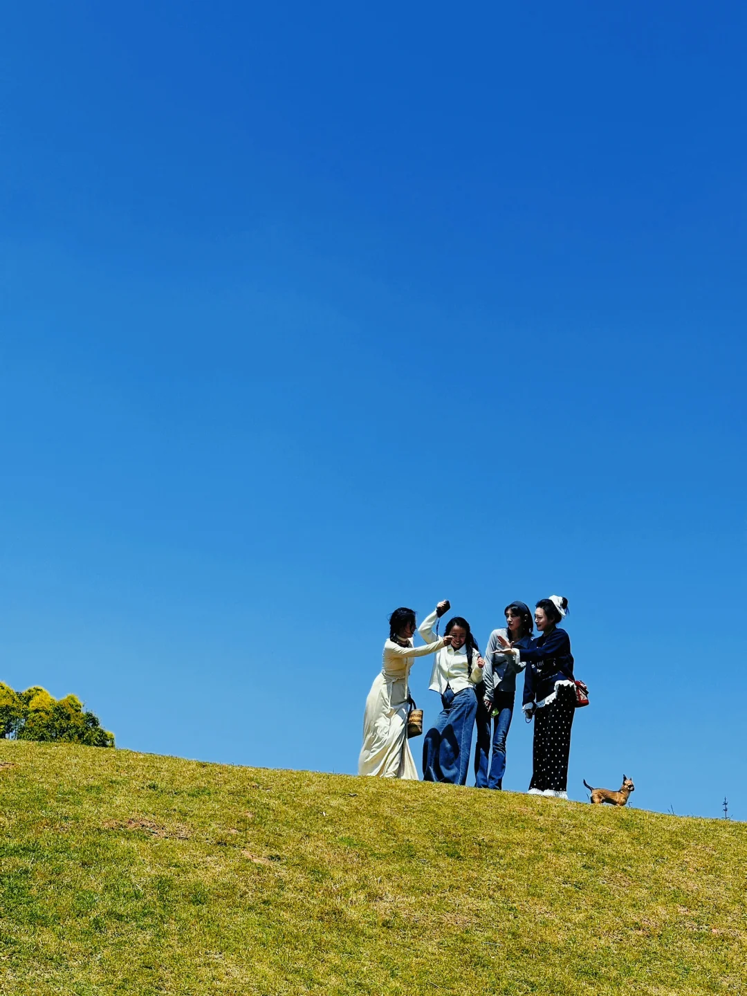 乐山」老城区被低估的公园，美到next level了