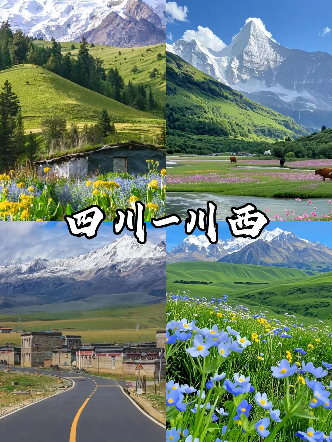 适合春天旅游的9个城市‼️