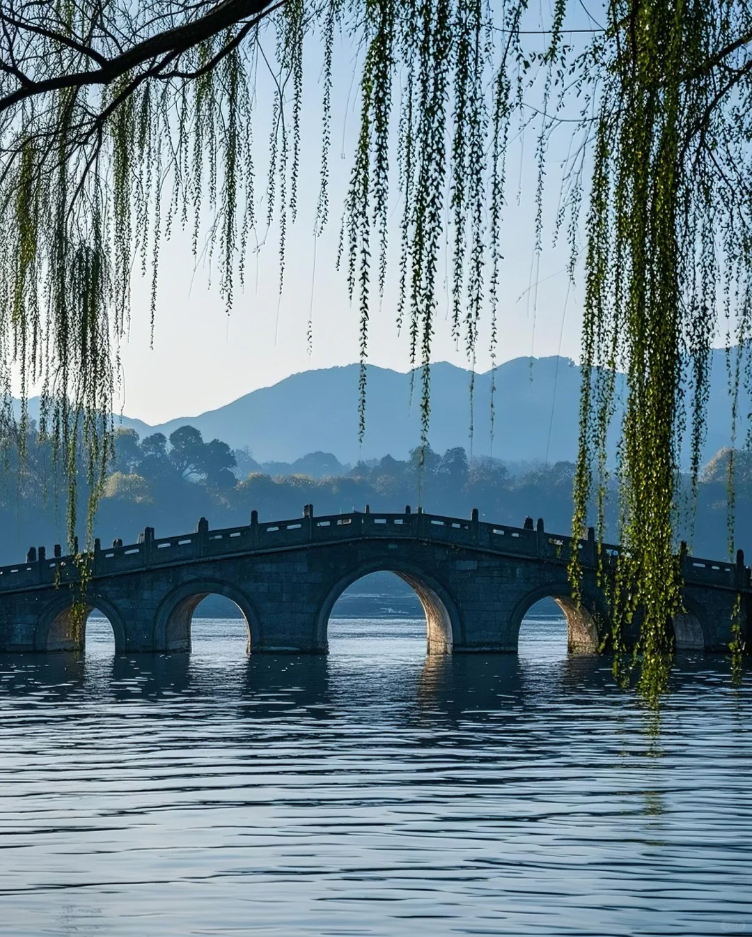 标题：🌸邂逅！西湖边的诗意浪漫