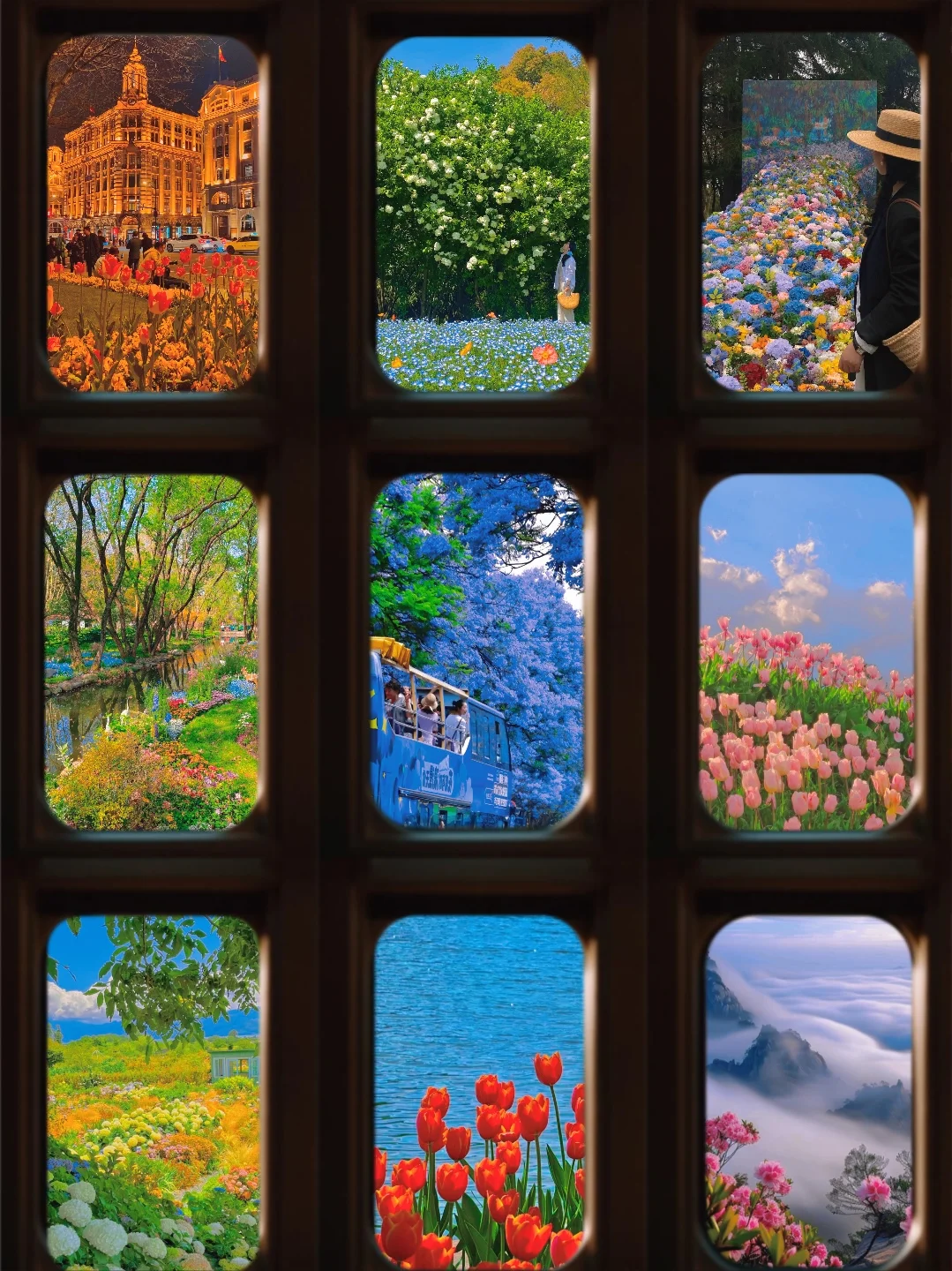 4-6月 短期旅行去哪玩❓收藏备用