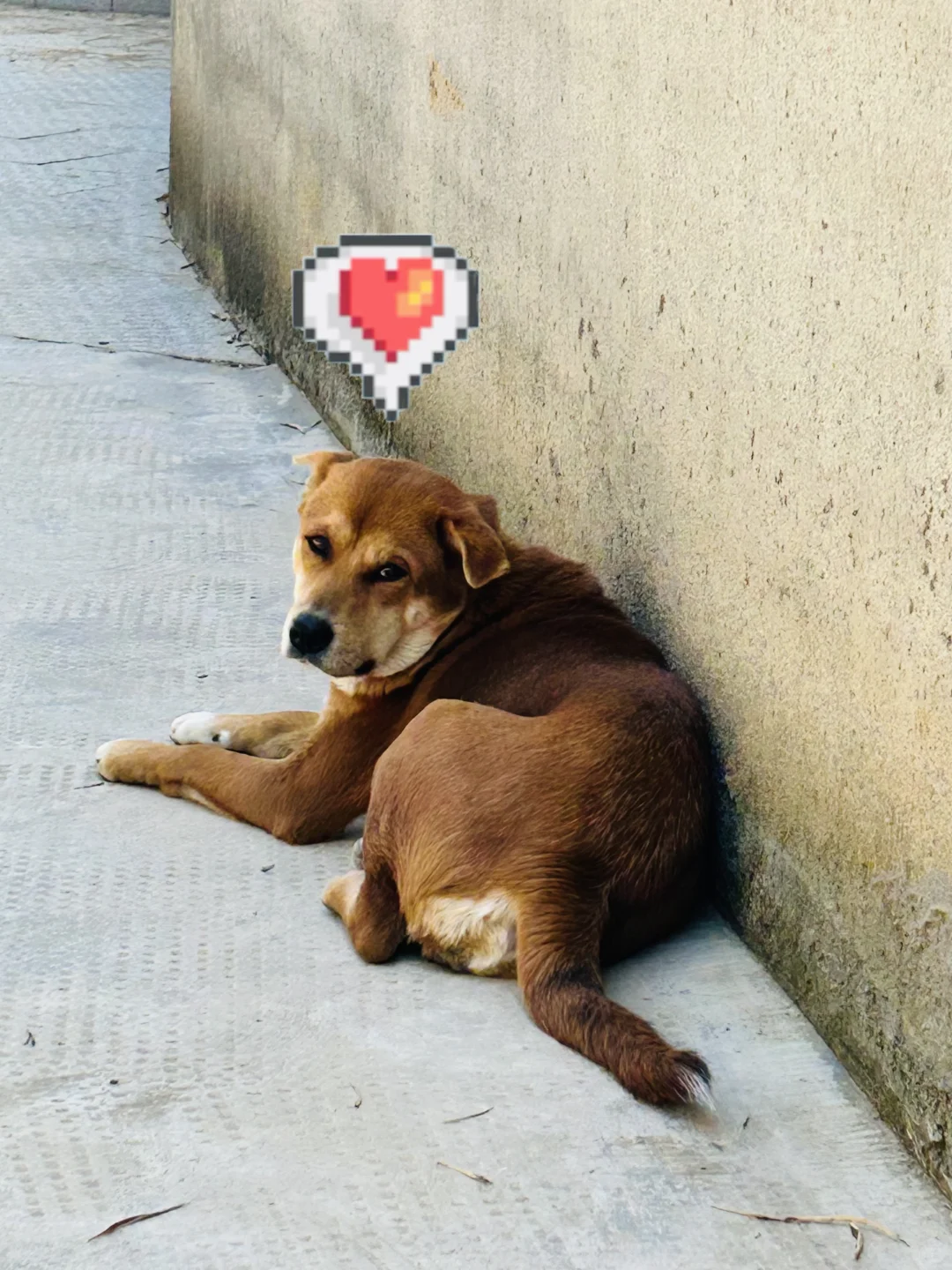 清明假期景区避雷攻略