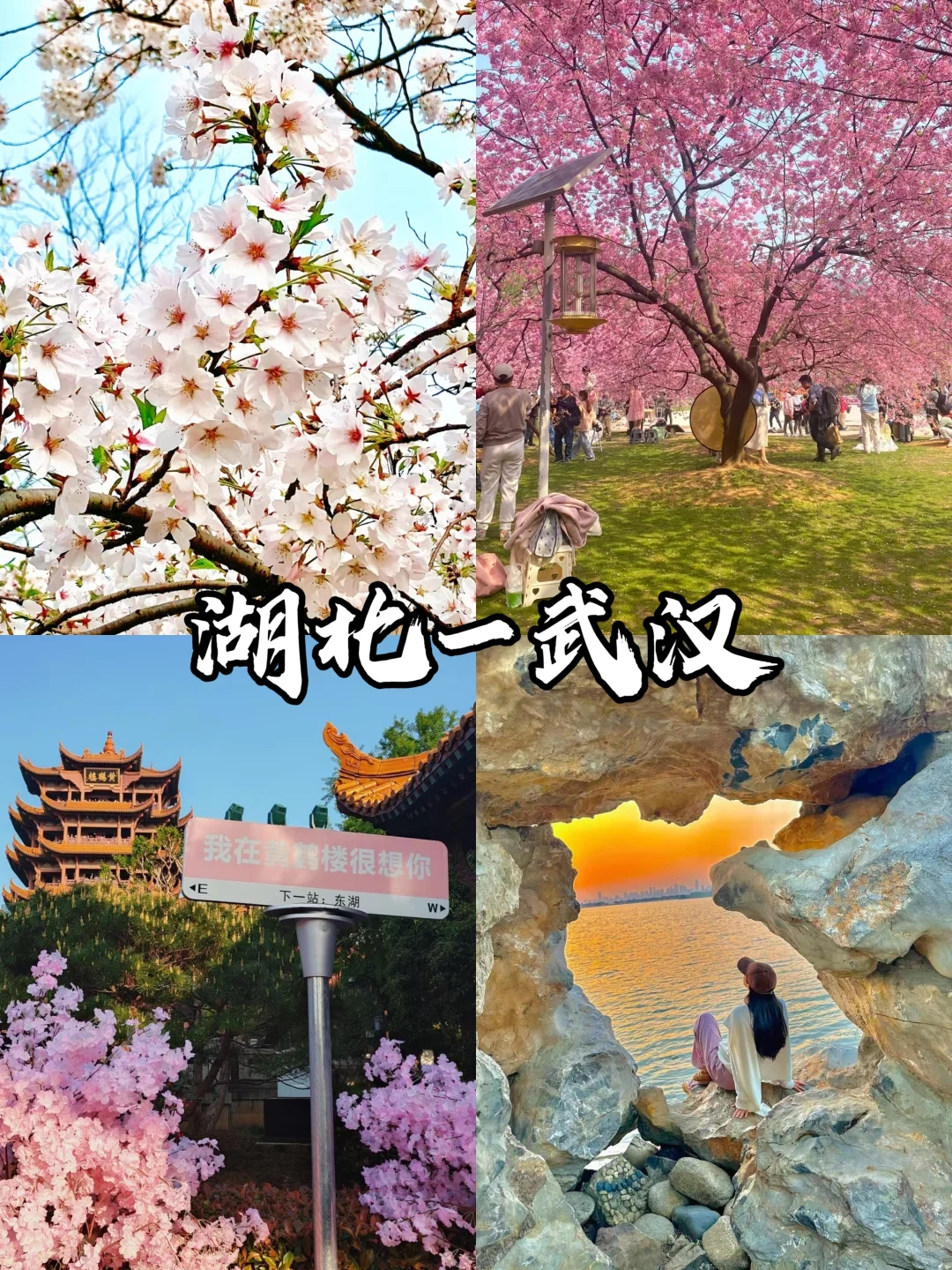 适合春天旅游的9个城市‼️