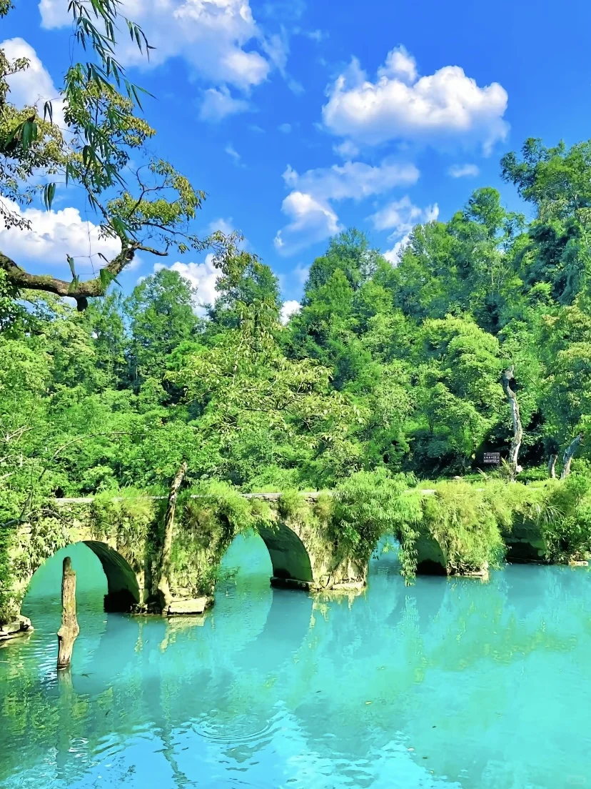 血泪教训‼️3-5月别不听劝就去荔波小七孔😭…