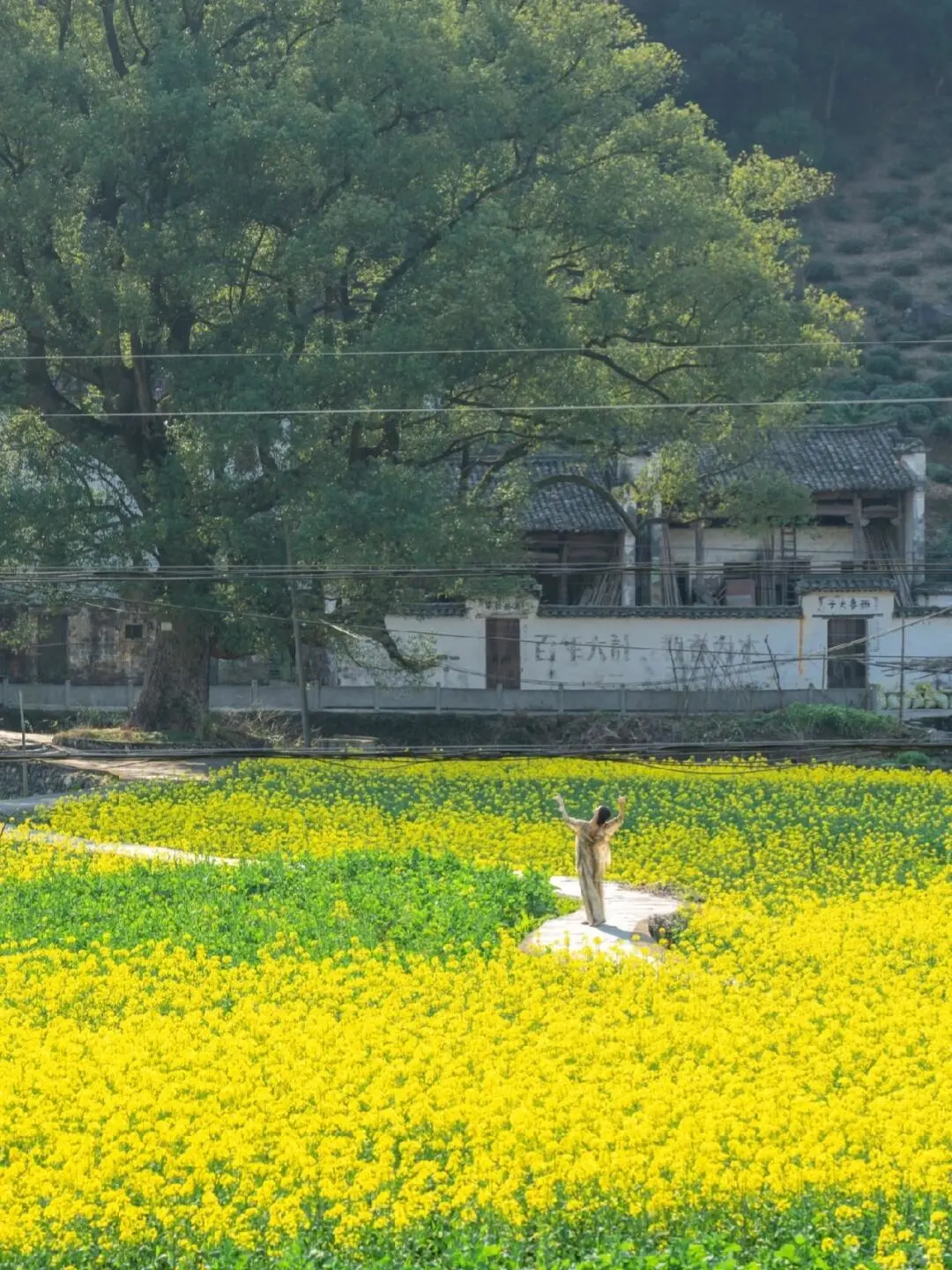 后悔没早点来黄山，小红书跟风最成功的一次