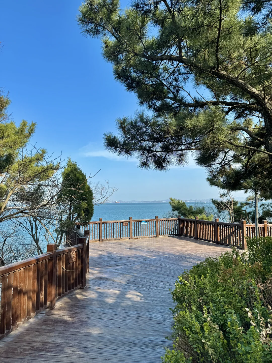 烟台！🌿超全春日🌸打卡神仙地景点合集！！