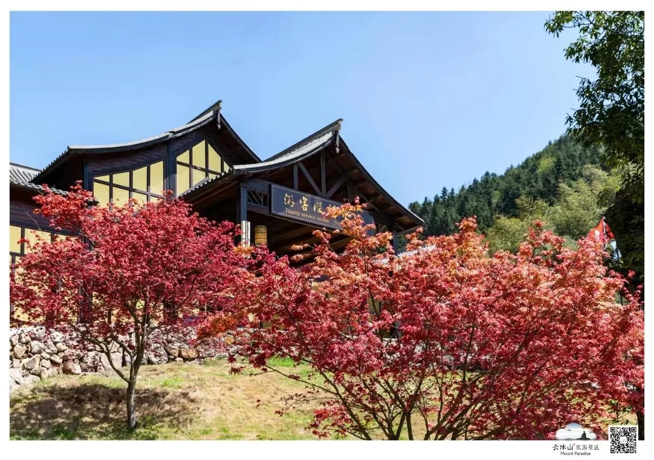 云冰山景区：邂逅，那片惊艳的枫红