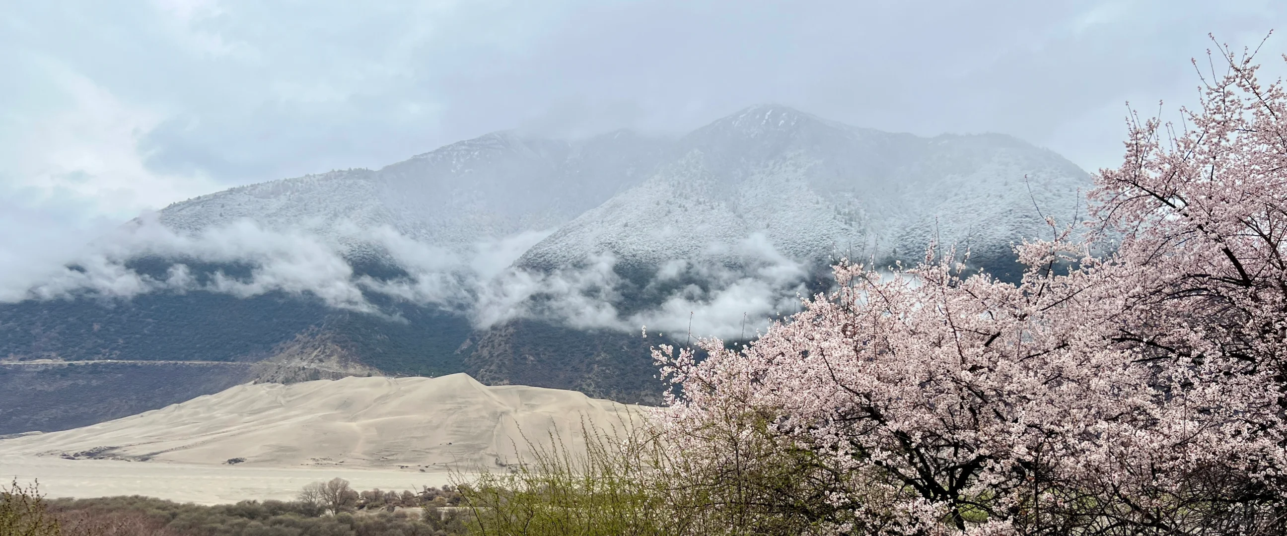 林芝｜雅鲁藏布大峡谷，已投诉