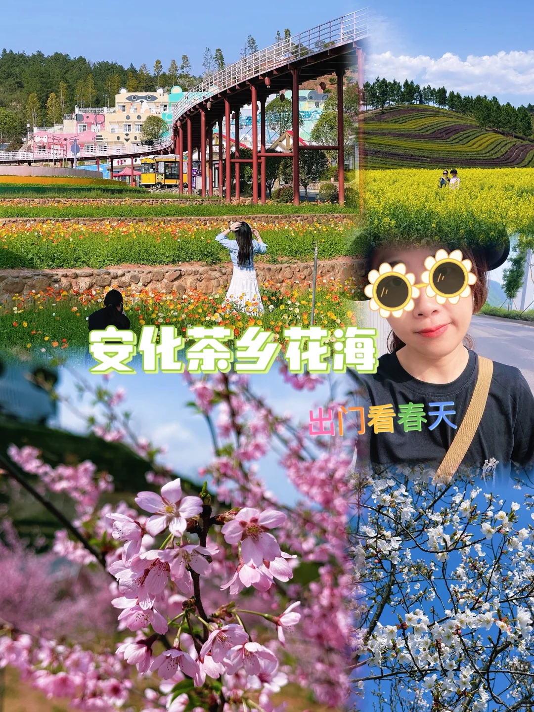 樱花海💢美到窒息，不用去武汉人挤人啰‼️