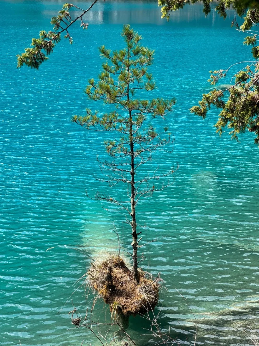 九寨沟高铁已回，真心建议要去的慎重考虑！