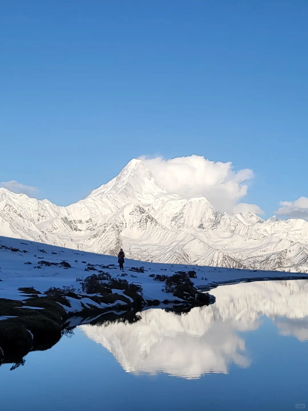 live 我宣布！！这是国内最值得去的雪山！