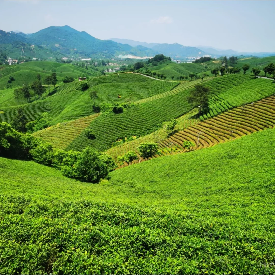 清明节信阳三天旅行攻略