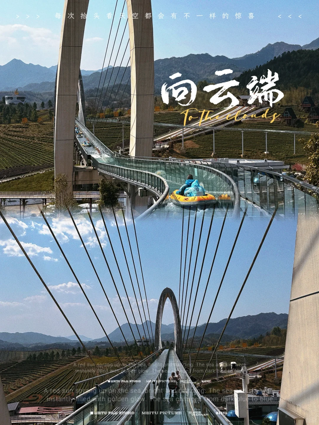 樱花海💢美到窒息，不用去武汉人挤人啰‼️