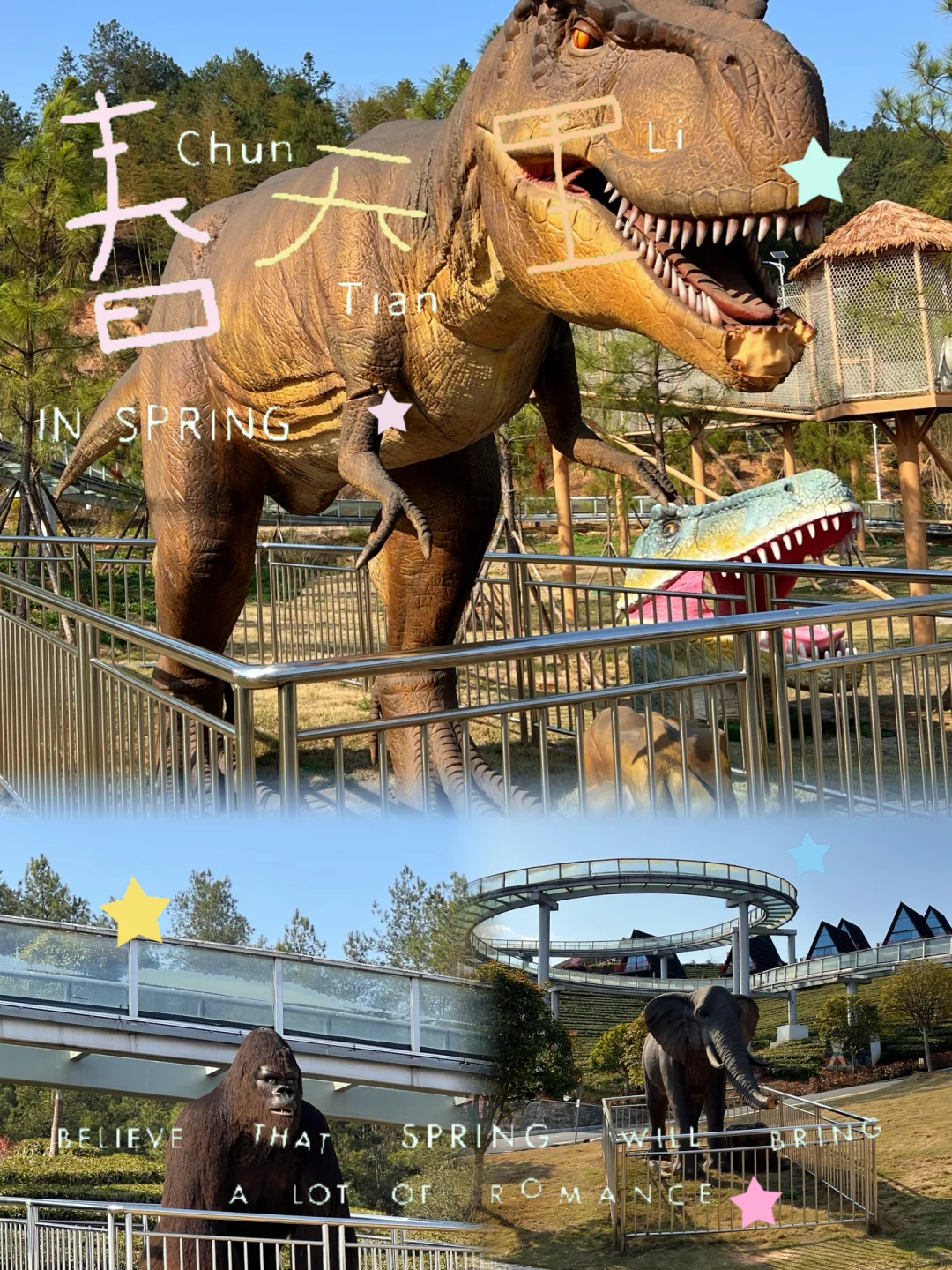 樱花海💢美到窒息，不用去武汉人挤人啰‼️