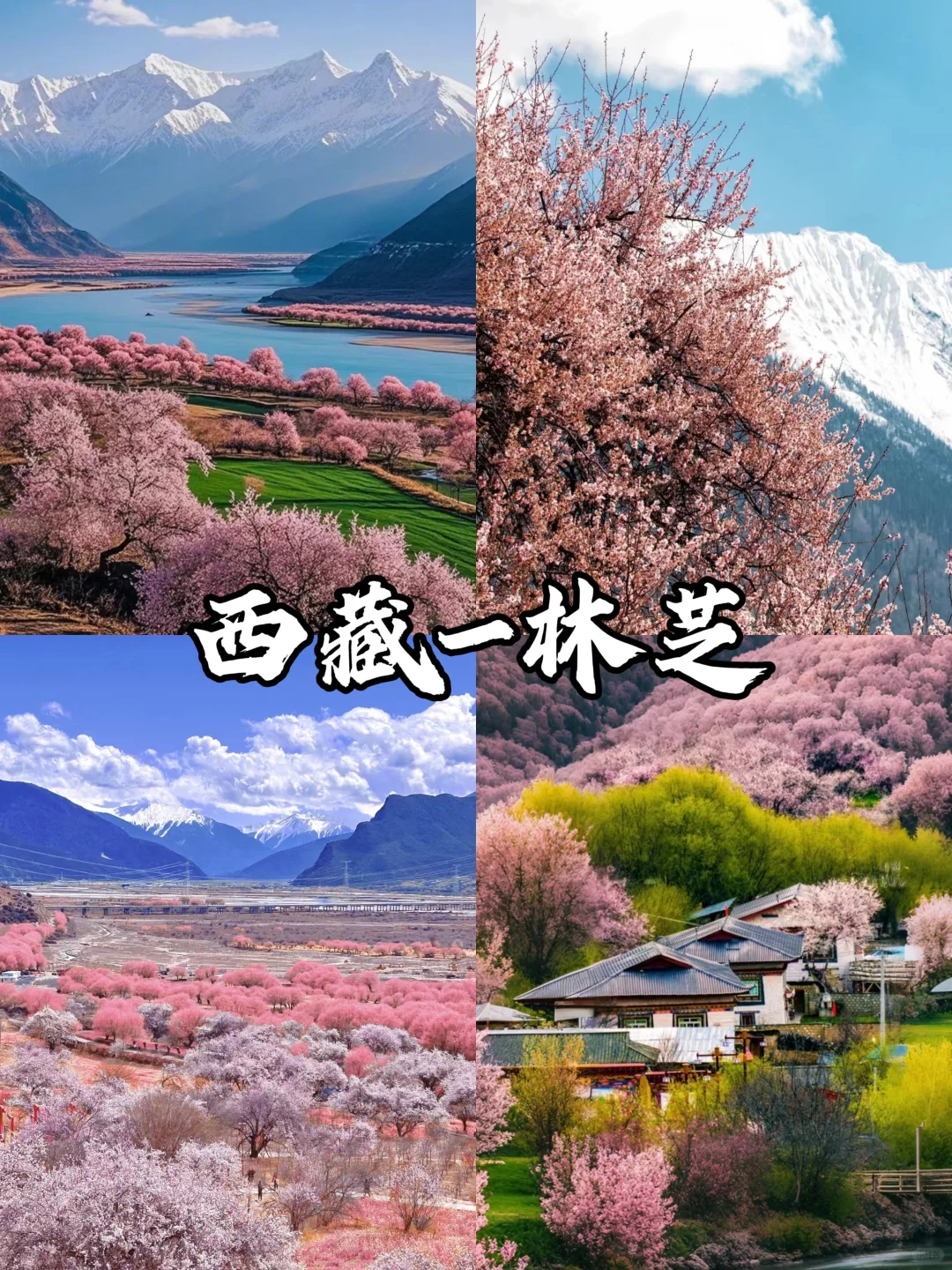 适合春天旅游的9个城市‼️