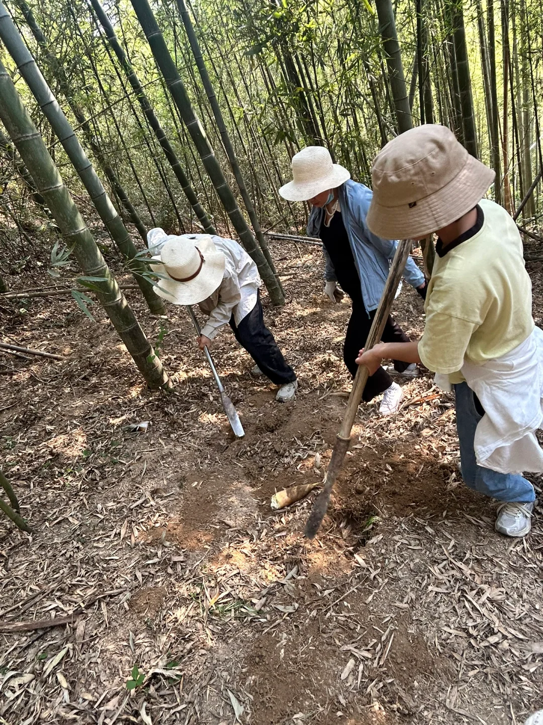 清明假期景区避雷攻略