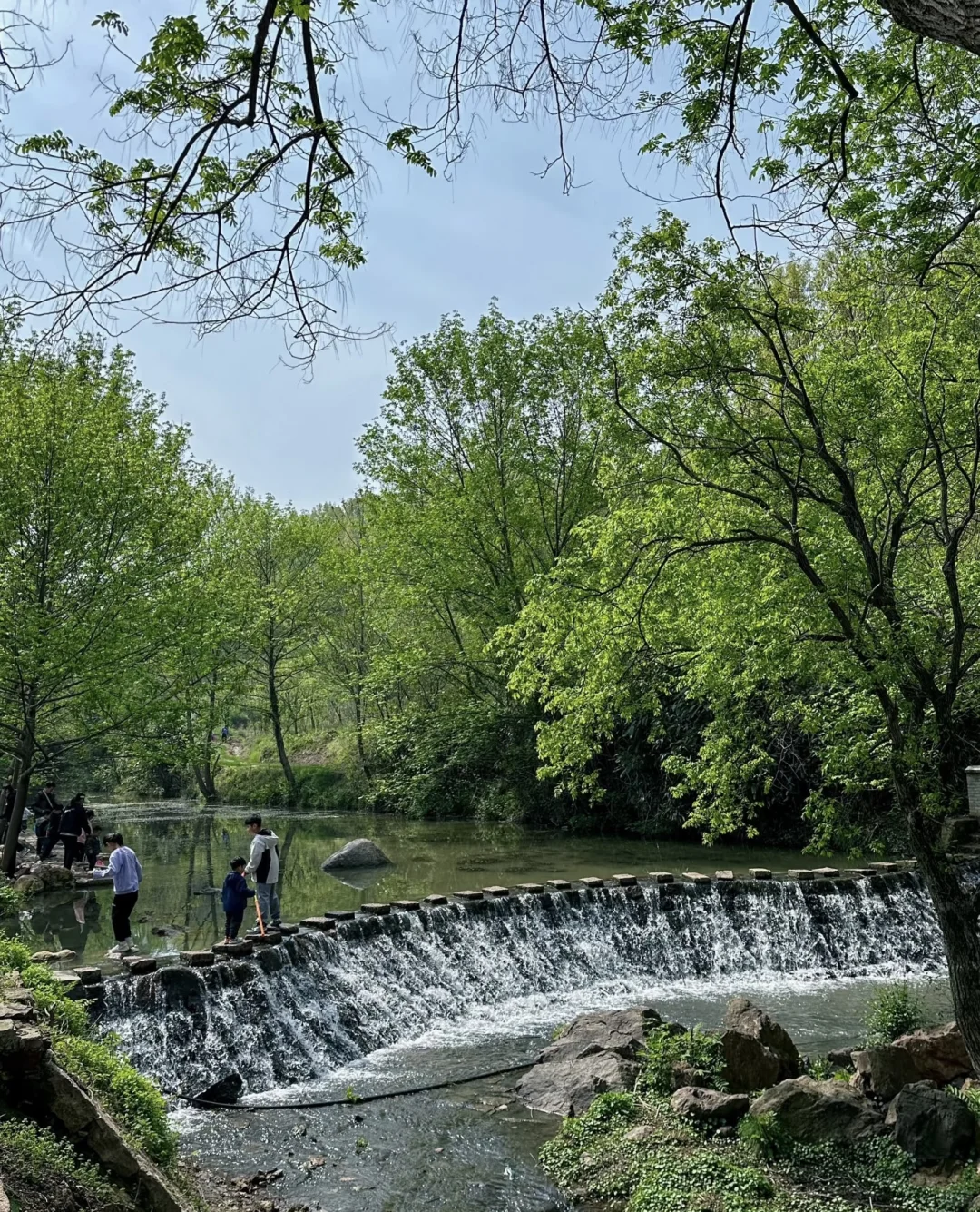 清明拒绝人挤人【河南小众】春日秘境🌸