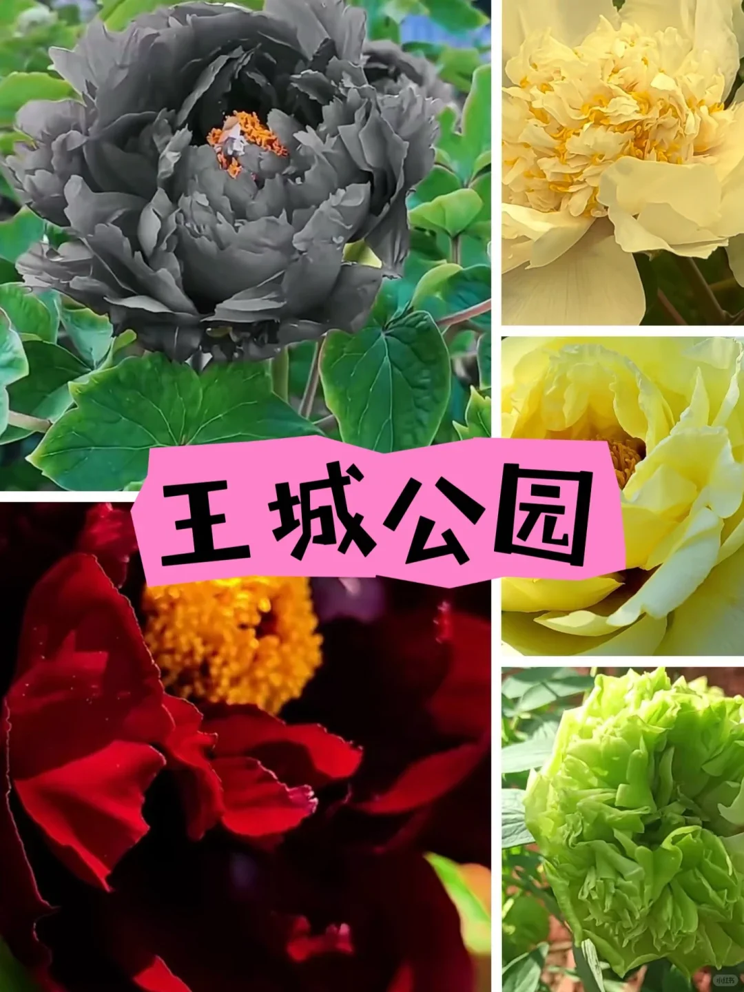 国内3月-4月去哪儿玩？