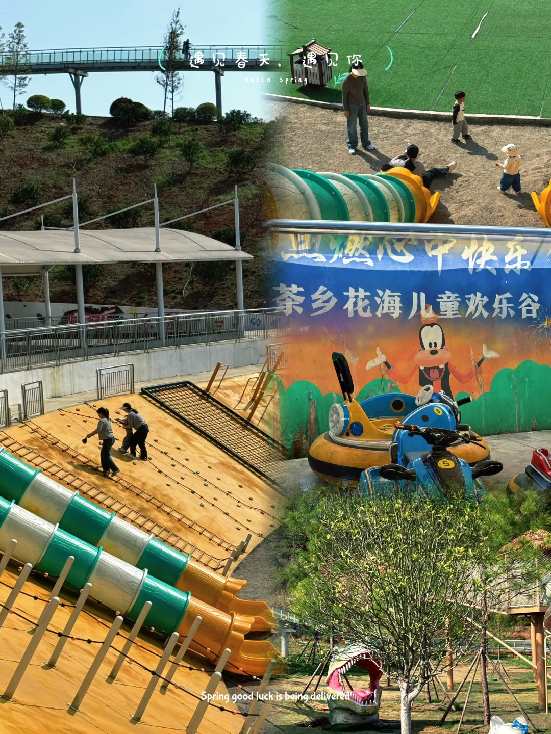 樱花海💢美到窒息，不用去武汉人挤人啰‼️