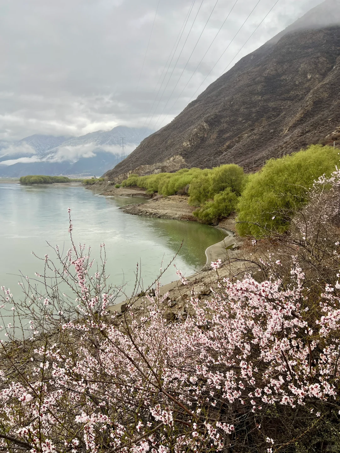 林芝｜雅鲁藏布大峡谷，已投诉