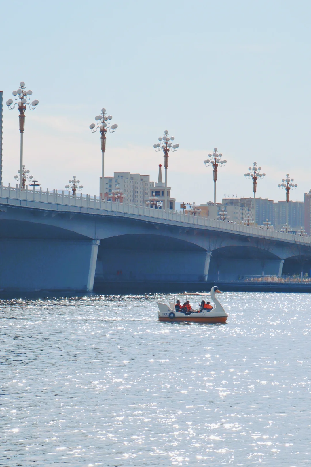 来太原旅游麻烦都来划一下这个小天鹅船好吗