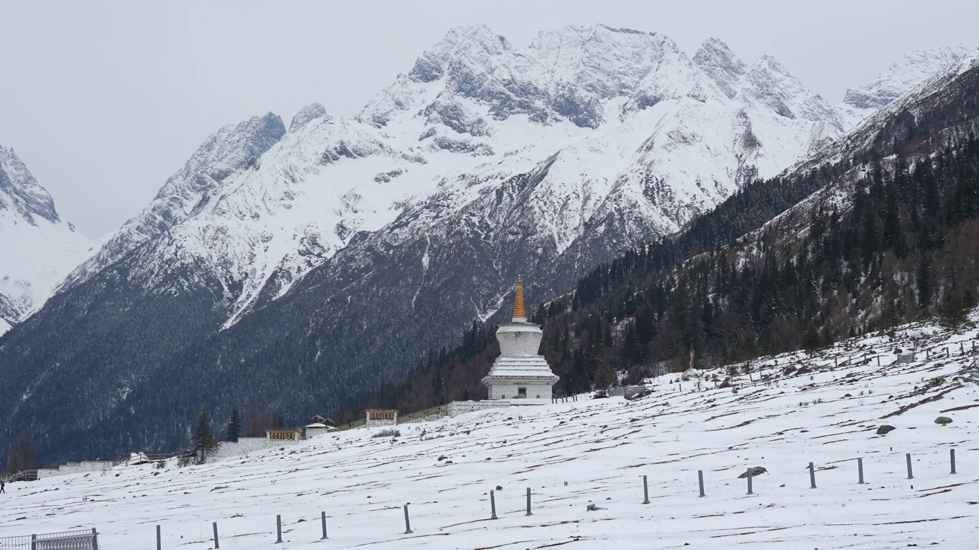 四姑娘山｜4️⃣月双桥沟沉浸式游玩攻略✅