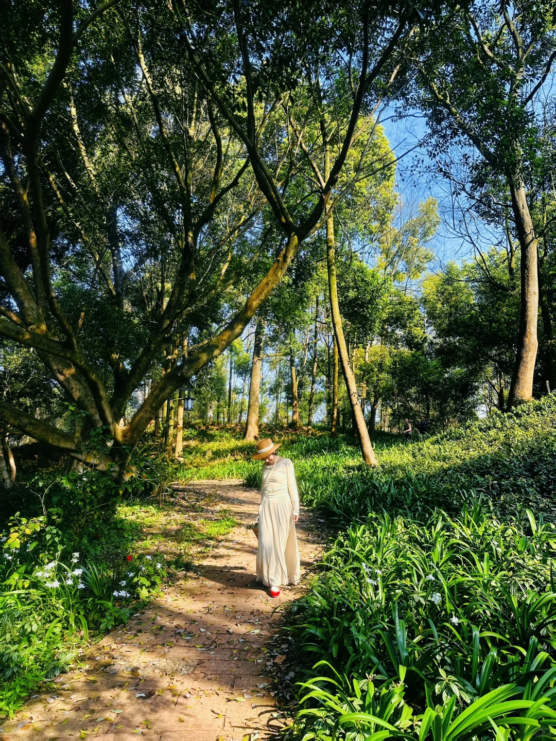 乐山」老城区被低估的公园，美到next level了