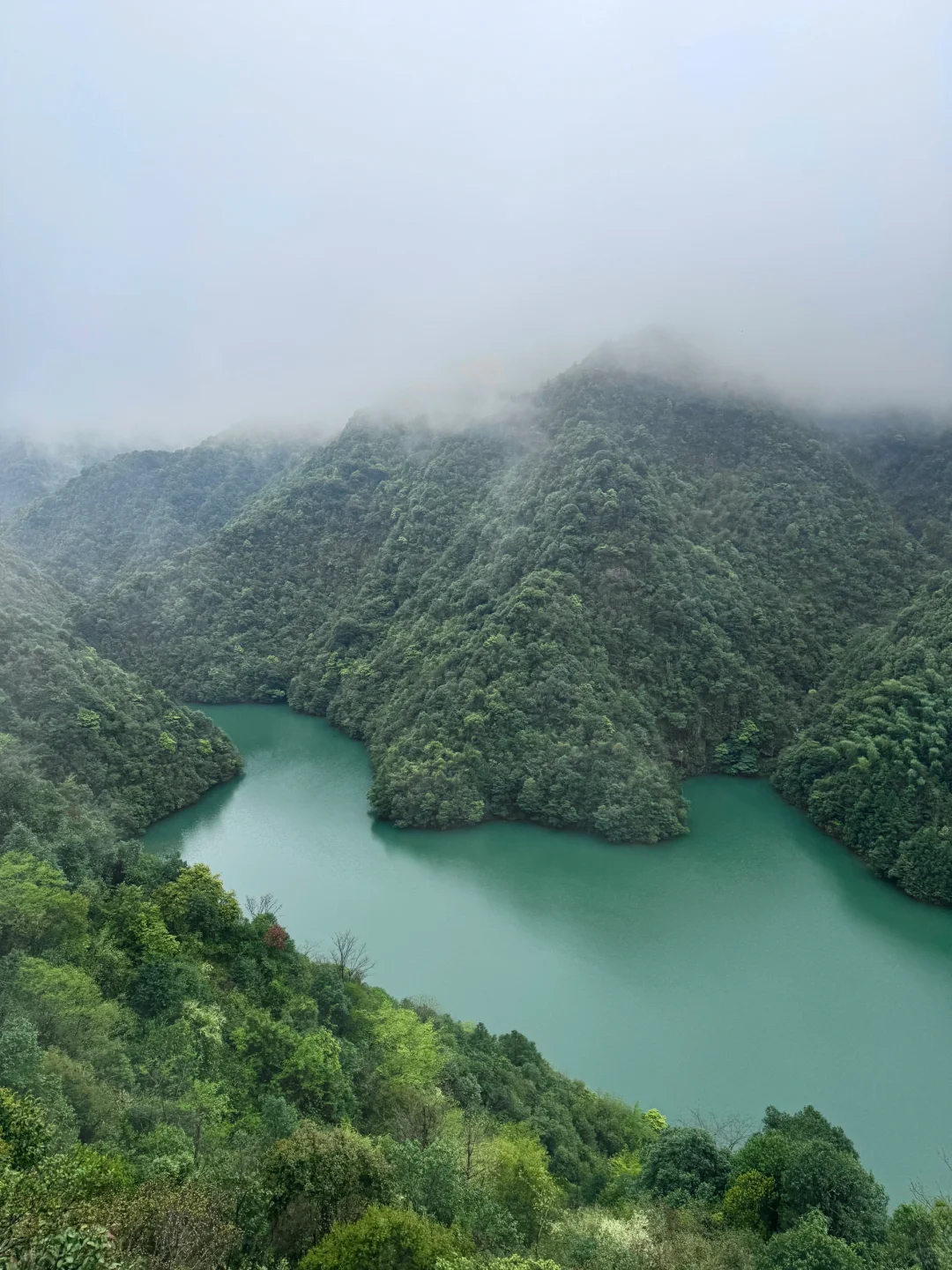 我宣布！！这是我在江西花的最值的一笔…