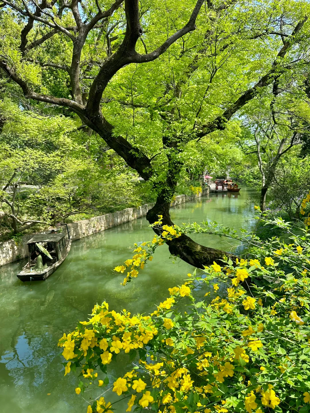 到虎丘才知道苏州的春天多治愈！