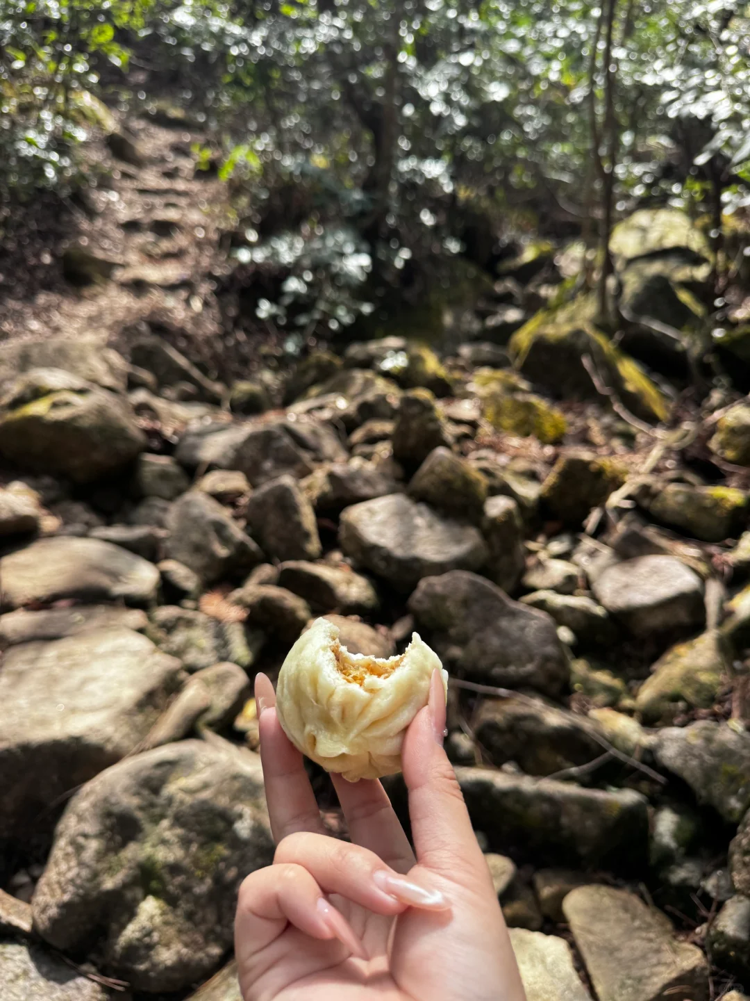 爬了个大山⛰️