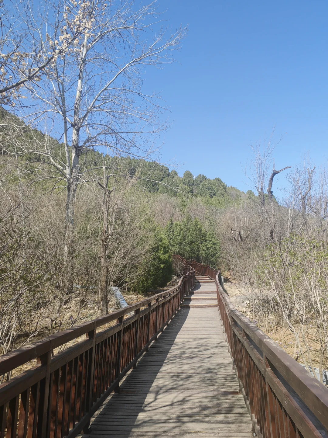 雁栖湖西山步道 2025.4.2