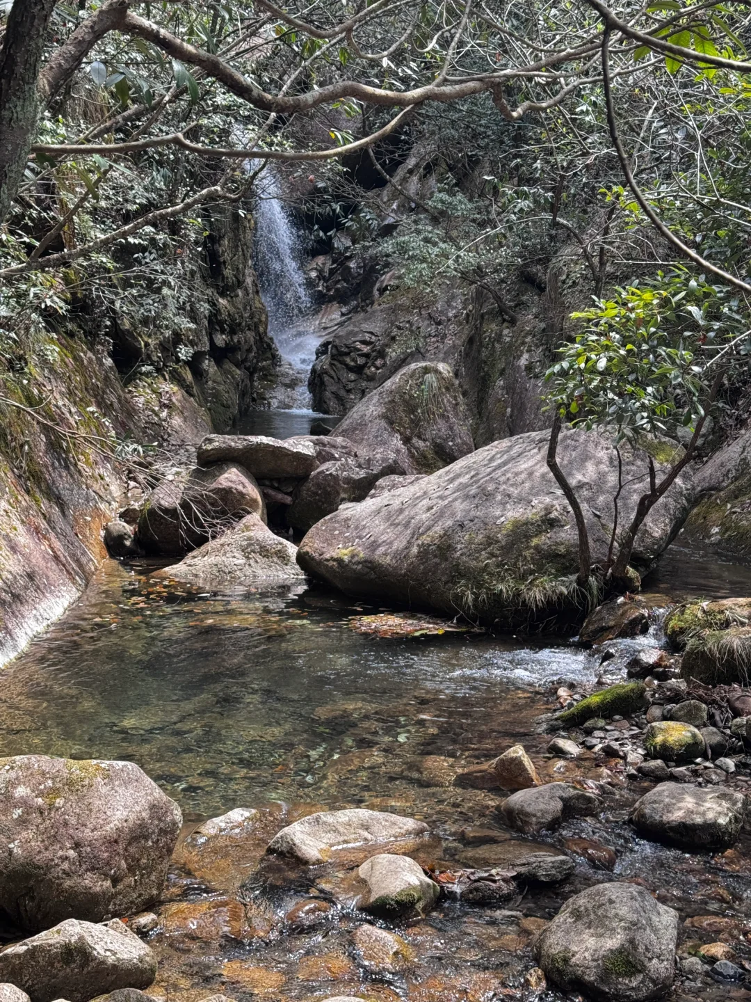 爬了个大山⛰️