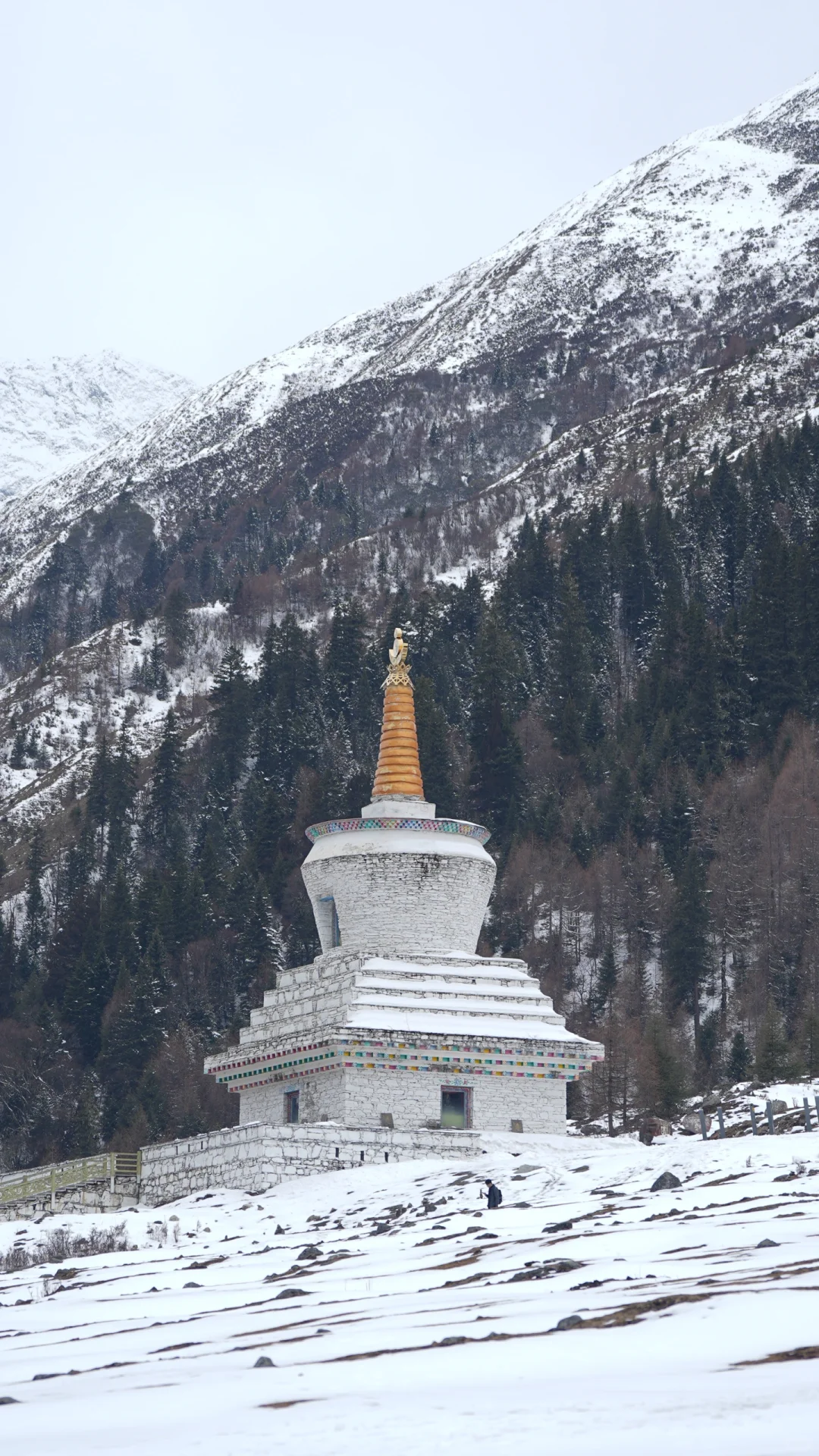 四姑娘山｜4️⃣月双桥沟沉浸式游玩攻略✅