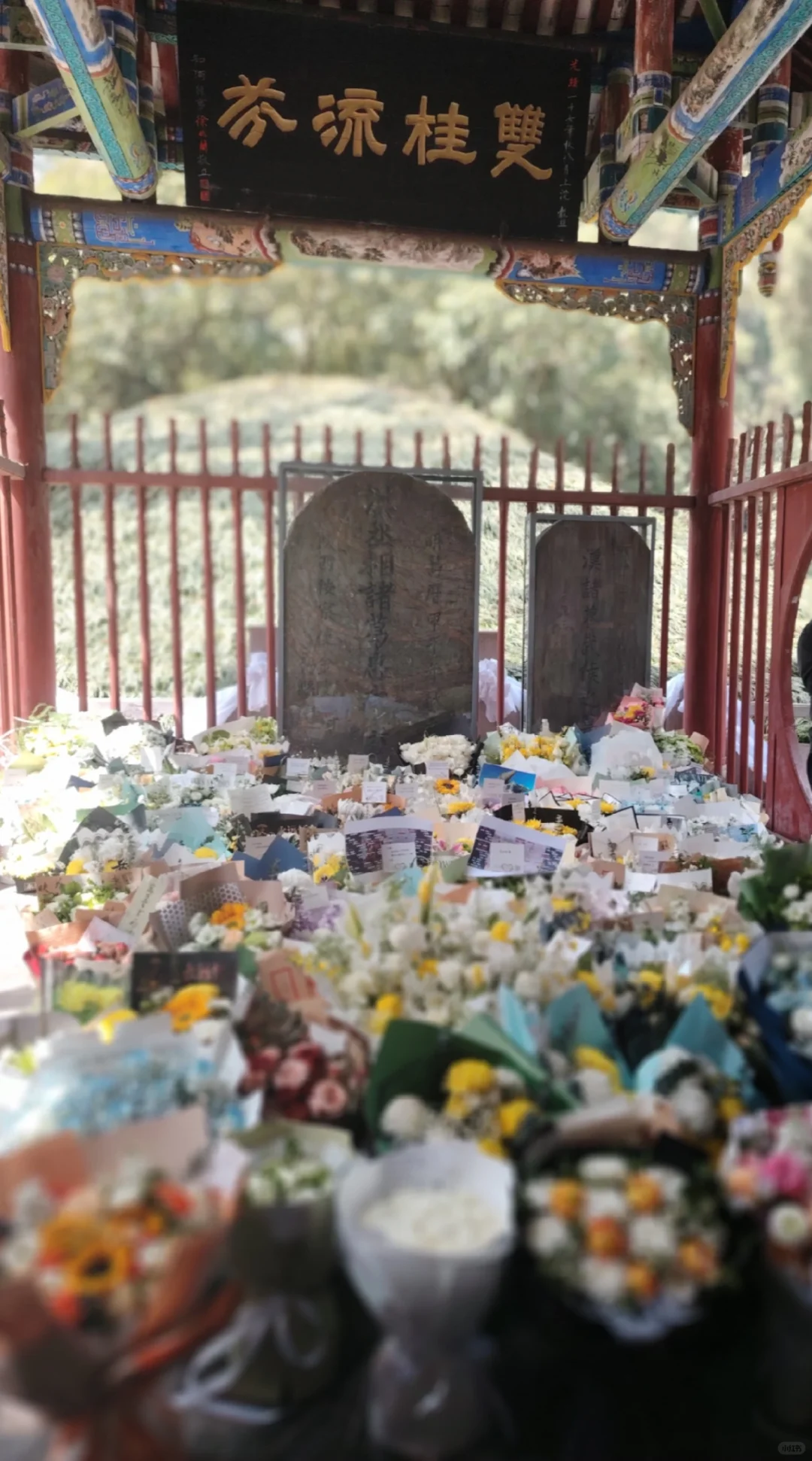 清明节的武侯墓（丞相千古