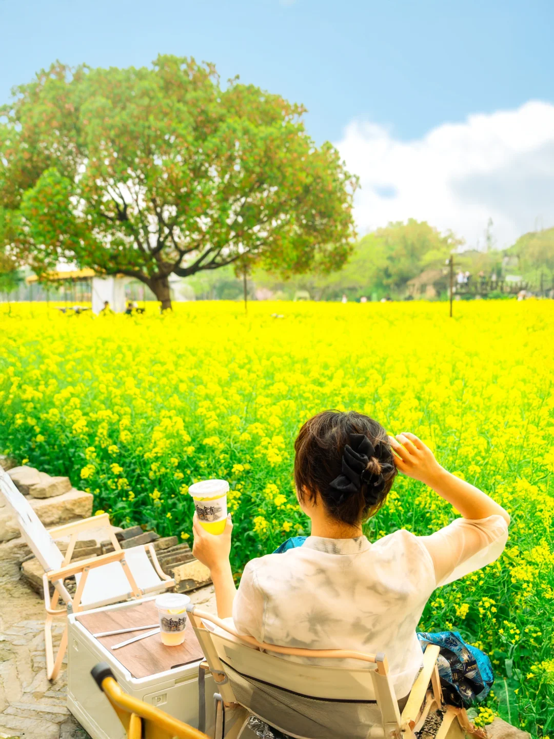 能打败乌镇的，只有春天的乌镇！