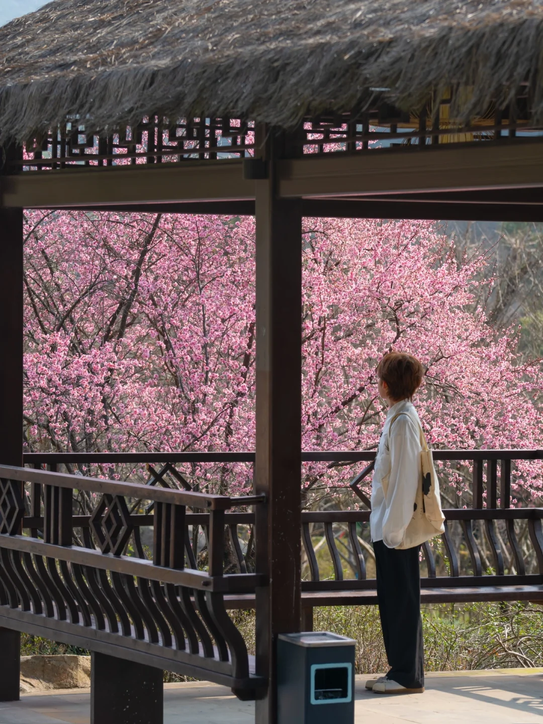 美哭了😭不愧是《国家地理》推荐的人间仙境