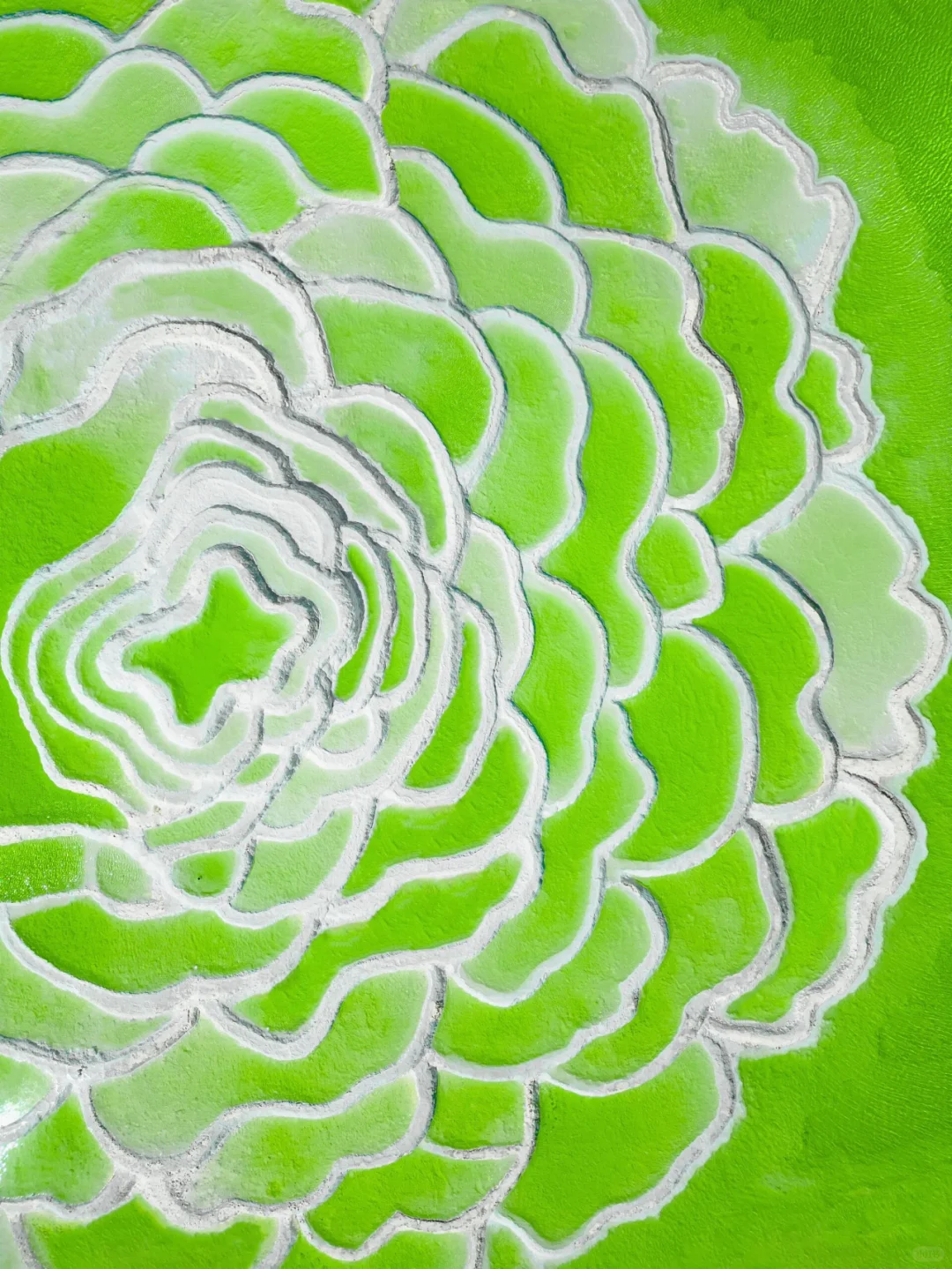 🌊 察尔汗盐湖：今年最震撼的自然奇观