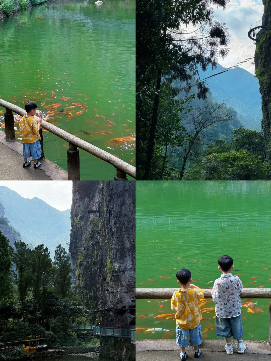 整理好了❗️温州清明宝藏户外遛娃地合集推荐